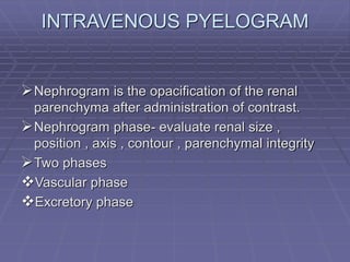 Pyelogram Vs Nephrogram anat of urinary sys.ppt