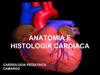 ANATOMIA E
HISTOLOGIA CARDIACA
CARDIOLOGIA PEDIATRICA
CAMARGO
 
