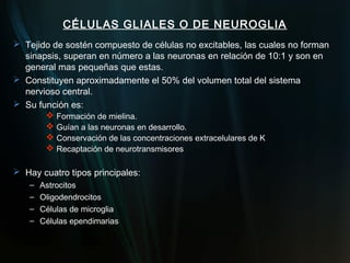 CÉLULAS GLIALES O DE NEUROGLIA
 Tejido de sostén compuesto de células no excitables, las cuales no forman
  sinapsis, superan en número a las neuronas en relación de 10:1 y son en
  general mas pequeñas que estas.
 Constituyen aproximadamente el 50% del volumen total del sistema
  nervioso central.
 Su función es:
        Formación de mielina.
        Guían a las neuronas en desarrollo.
        Conservación de las concentraciones extracelulares de K
        Recaptación de neurotransmisores

 Hay cuatro tipos principales:
    –   Astrocitos
    –   Oligodendrocitos
    –   Células de microglia
    –   Células ependimarias
 