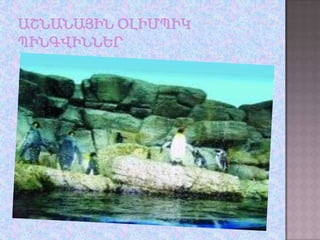 Anatoli lalayan 4 1nor dproc