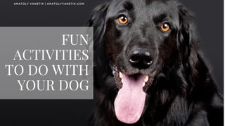FUN
ACTIVITIES
TO DO WITH
YOUR DOG
ANATOLY VANETIK | ANATOLYVANETIK.COM
 