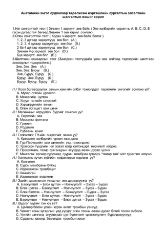 Anatom 1 | PDF