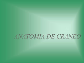 ANATOMIA DE CRANEO
 