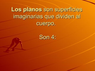 Los planos  son superficies imaginarias que dividen al cuerpo.   Son 4: 