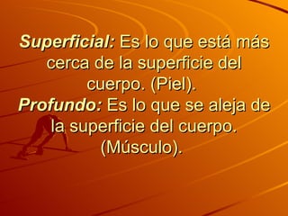 Superficial:  Es lo que está más cerca de la superficie del cuerpo. (Piel).  Profundo:  Es lo que se aleja de la superficie del cuerpo. (Músculo).  