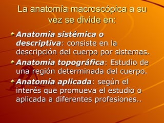 La anatomía macroscópica a su vez se divide en: Anatomía sistémica o descriptiva : consiste en la descripción del cuerpo por sistemas. Anatomía topográfica : Estudio de una región determinada del cuerpo. Anatomía aplicada : según el interés que promueva el estudio o aplicada a diferentes profesiones.. 
