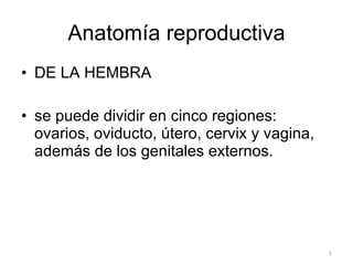 Anatomía reproductiva ,[object Object],[object Object]
