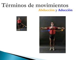 Anatomía Macroscópica