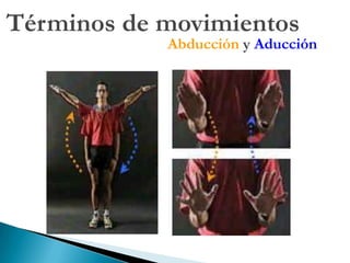 Del Desarrollo (Embriología)