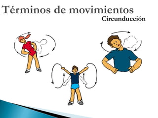   Topográfica (Regional)Cabeza – Cuello – TóraxDorso – Abdomen – MS y MI