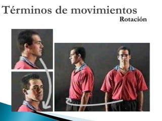 POSICIÓN ANATÓMICADe pie (erecto)Cabeza sin inclinación Ojos abiertos, mirando al frente y al mismo nivel Brazos extendidos a los lados del cuerpo Palmas de las manos mirando hacia delante Piernas extendidas y juntas Pies dirigidos hacia delante y talones juntos
