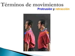 Términos de relaciónAnterior o ventral*Posterior o dorsalSuperior o cefálico+Inferior o caudalMedialLateralIntermedio-*Rostral, palmar, plantar+Craneal- Entre 2 estructuras