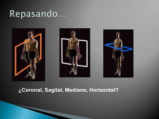 Central – Periférico