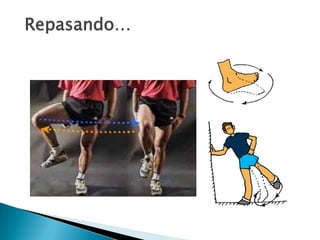 Superficial – Profundo