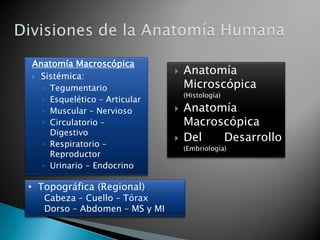 La disección del cadáver es la base de nuestros conocimientos