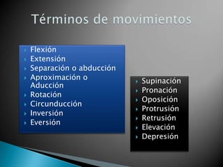 Respiratorio – Reproductor