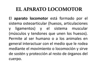 El aparato locomotor está formado por el
sistema osteoarticular (huesos, articulaciones
y ligamentos) y el sistema muscular
(músculos y tendones que unen los huesos).
Permite al ser humano o a los animales en
general interactuar con el medio que le rodea
mediante el movimiento o locomoción y sirve
de sostén y protección al resto de órganos del
cuerpo.
 