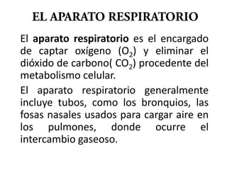 El aparato respiratorio es el encargado
de captar oxígeno (O2) y eliminar el
dióxido de carbono( CO2) procedente del
metabolismo celular.
El aparato respiratorio generalmente
incluye tubos, como los bronquios, las
fosas nasales usados para cargar aire en
los pulmones, donde ocurre el
intercambio gaseoso.
 