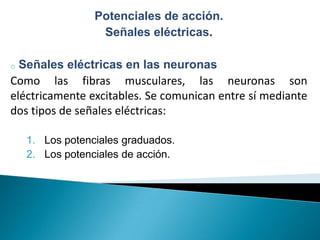 Potenciales de acción.
                  Señales eléctricas.

o Señales eléctricas en las neuronas
Como las fibras musculares, las neuronas son
eléctricamente excitables. Se comunican entre sí mediante
dos tipos de señales eléctricas:

    1. Los potenciales graduados.
    2. Los potenciales de acción.
 