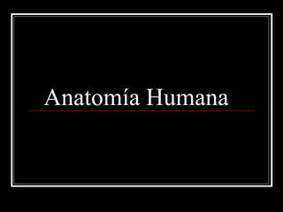 Anatomía Humana  