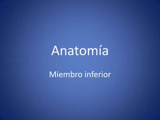 Anatomía
Miembro inferior
 