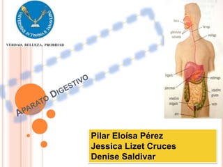 Pilar Eloísa Pérez
Jessica Lizet Cruces
Denise Saldivar
 