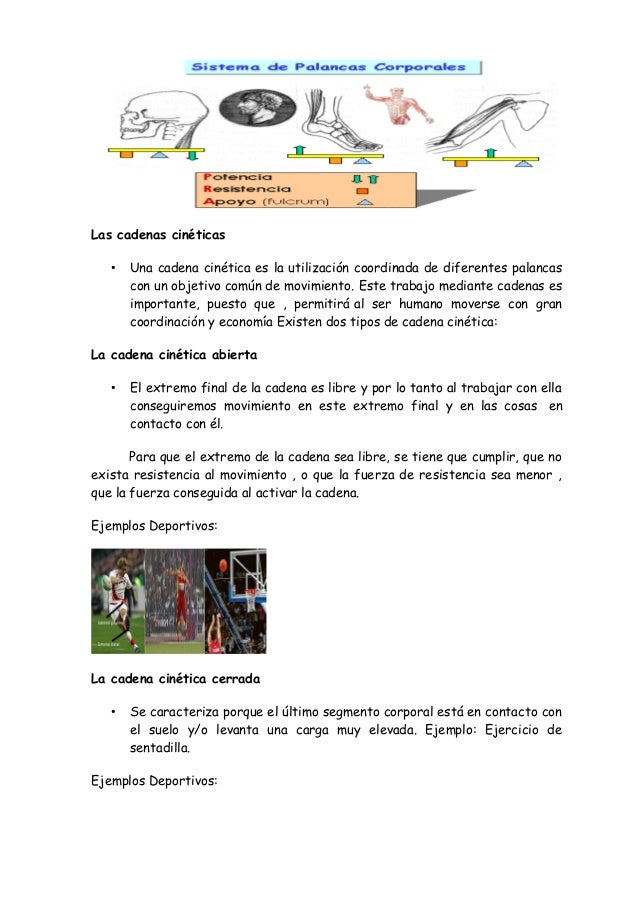 cadenas cineticas del cuerpo humano fub anatom 237 a del cuerpo humano cadenas cineticas del cuerpo humano fub anatom 237 a del cuerpo humano