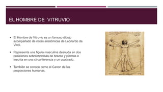 EL HOMBRE DE VITRUVIO
 El Hombre de Vitruvio es un famoso dibujo
acompañado de notas anatómicas de Leonardo da
Vinci.
 Representa una figura masculina desnuda en dos
posiciones sobreimpresas de brazos y piernas e
inscrita en una circunferencia y un cuadrado.
 También se conoce como el Canon de las
proporciones humanas.
 