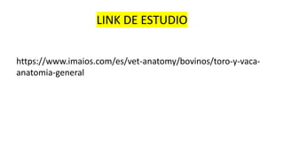 LINK DE ESTUDIO
https://www.imaios.com/es/vet-anatomy/bovinos/toro-y-vaca-
anatomia-general
 