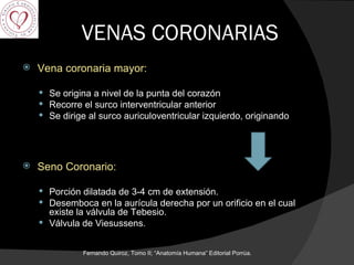 VENAS CORONARIAS Vena coronaria mayor: Se origina a nivel de la punta del corazón Recorre el surco interventricular anterior Se dirige al surco auriculoventricular izquierdo, originando Seno Coronario:  Porción dilatada de 3-4 cm de extensión. Desemboca en la aurícula derecha por un orificio en el cual existe la válvula de Tebesio. Válvula de Viesussens. Fernando Quiroz, Tomo II; “Anatomía Humana” Editorial Porrúa.  