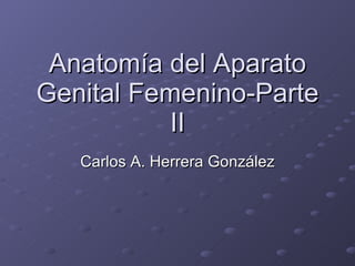 Anatomía del Aparato Genital Femenino-Parte II Carlos A. Herrera González 