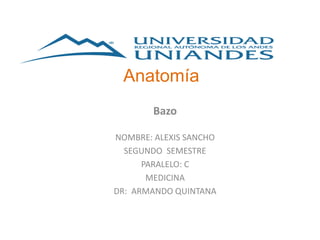 Anatomía
Bazo
NOMBRE: ALEXIS SANCHO
SEGUNDO SEMESTRE
PARALELO: C
MEDICINA
DR: ARMANDO QUINTANA
 