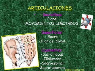 ARTICULACIONES Sacroilíaca Plana MOVIMIENTOS LIMITADOS Superficies: -Sacro -Ilion del Coxal Ligamentos: -Sacroilíacos -Iliolumbar -Sacroespinal -Sacrotuberoso Desirée Suárez N2 