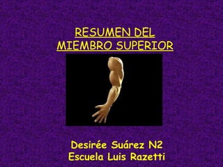 RESUMEN DEL MIEMBRO SUPERIOR Desirée Suárez N2 Escuela Luis Razetti 