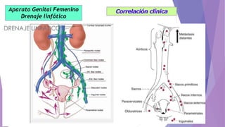 Aparato Genital Femenino
Drenaje linfático
Correlación clínica
 