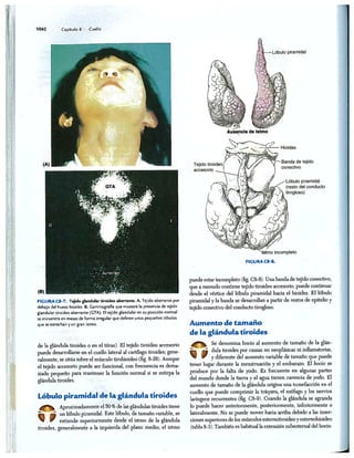 http://MedicoModerno.Blogspot.com
 