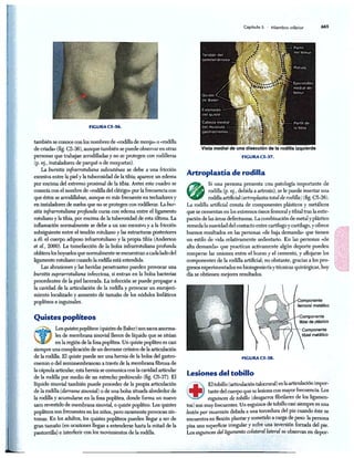 http://MedicoModerno.Blogspot.com
 