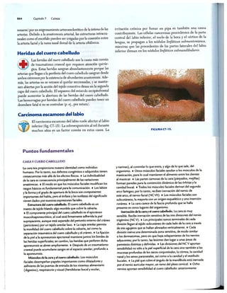 http://MedicoModerno.Blogspot.com
 