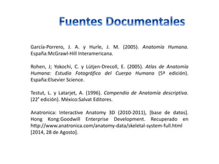 García-Porrero, J. A. y Hurle, J. M. (2005). Anatomía Humana. 
España:McGrawl-Hill Interamericana. 
Rohen, J; Yokochi, C. y Lütjen-Drecoll, E. (2005). Atlas de Anatomía 
Humana: Estudio Fotográfico del Cuerpo Humano (5ª edición). 
España:Elsevier Science. 
Testut, L. y Latarjet, A. (1996). Compendio de Anatomía descriptiva. 
(22ª edición). México:Salvat Editores. 
Anatronica: Interactive Anatomy 3D (2010-2011), [base de datos]. 
Hong Kong:Goodwill Enterprise Development. Recuperado en 
http://www.anatronica.com/anatomy-data/skeletal-system-full.html 
[2014, 28 de Agosto]. 
