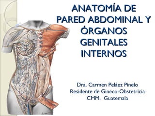 Dra. Carmen Peláez Pinelo Residente de Gineco-Obstetricia CMM,  Guatemala ANATOMÍA DE PARED ABDOMINAL Y ÓRGANOS GENITALES INTERNOS 