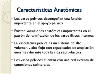 Características Anatómicas Los vasos pélvicos desempeñan una función importante en el apoyo pélvico Existen variaciones anatómicas importantes en el patrón de ramificación de los vasos ilíacos internos La vasculatura pélvica es un sistema de alto volumen y alto flujo con capacidades de ampliación enormes durante toda la vida reproductiva Los vasos pélvicos cuentan con una red extensa de conexiones colaterales  