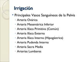 Irrigación Principales Vasos Sanguíneos de la Pelvis Arteria Ovárica Arteria Mesentérica Inferior Arteria Ilíaca Primitiva (Común) Arteria Ilíaca Externa  Arteria Ilíaca Interna (Hipogástrica) Arteria Pudenda Interna Arteria Sacra Media Arterias Lumbares 