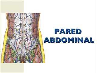 PARED  ABDOMINAL 