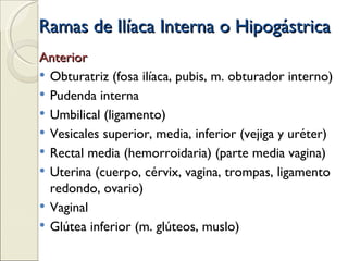 Ramas de Ilíaca Interna o Hipogástrica Anterior Obturatriz (fosa ilíaca, pubis, m. obturador interno) Pudenda interna  Umbilical (ligamento) Vesicales superior, media, inferior (vejiga y uréter) Rectal media (hemorroidaria) (parte media vagina) Uterina (cuerpo, cérvix, vagina, trompas, ligamento redondo, ovario) Vaginal Glútea inferior (m. glúteos, muslo) 