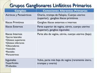 Grupos Ganglionares Linfáticos Primarios Ganglios Conexiones Aferentes Primarias Aórticos y Paraaórticos Ovario, trompa de Falopio, Cuerpo uterino (superior),  ganglios ilíacos primitivos Ilíacos Primitivos Ganglios ilíacos externos e internos Ilíacos Externos Parte superior de vagina, cérvix, cuerpo uterino (superior), ganglios inguinales Ilíacos Internos Sacros laterales Glúteos superiores Glúteos inferiores Obturadores Vesicales Rectales Parauterinos Parte alta de vagina, cérvix, cuerpo uterino (bajo) Inguinales Superficiales Profundos Vulva, parte más baja de vagina (raramente útero, trompas y ovario) 
