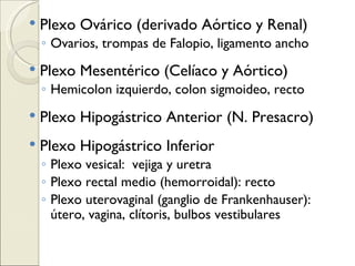 Plexo Ovárico (derivado Aórtico y Renal) Ovarios, trompas de Falopio, ligamento ancho Plexo Mesentérico (Celíaco y Aórtico) Hemicolon izquierdo, colon sigmoideo, recto Plexo Hipogástrico Anterior (N. Presacro) Plexo Hipogástrico Inferior Plexo vesical:  vejiga y uretra Plexo rectal medio (hemorroidal): recto Plexo uterovaginal (ganglio de Frankenhauser): útero, vagina, clítoris, bulbos vestibulares 