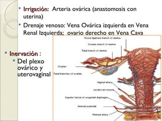 Irrigación:   Arteria ovárica (anastomosis con uterina) Drenaje venoso: Vena Ovárica izquierda en Vena Renal Izquierda;  ovario derecho en Vena Cava Inervación  :  Del plexo ovárico y uterovaginal 