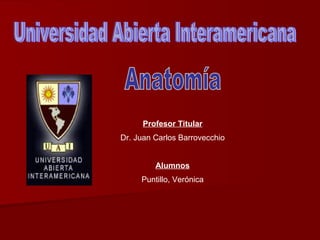 Universidad Abierta Interamericana Anatomía Profesor Titular Dr. Juan Carlos Barrovecchio Alumnos Puntillo, Verónica 