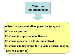 Cisternas subaracnoideas Cisterna cerebelobulbar posterior (magna) Cisterna pontina Cisterna interpeduncular (basal) Cisterna quiasmatica (quiasma optico) Cisterna cuadrigemina (de la vena cerebral mayor,  cisterna superior) 