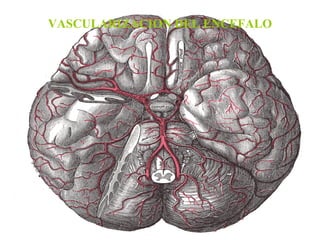 VASCULARIZACION DEL ENCEFALO 